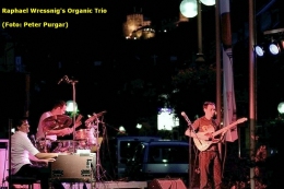 Raphael Wressnig's Organic Trio